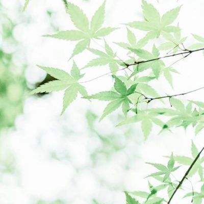神谕之战m官方正版(暂未上线)v1.1.0 安卓版