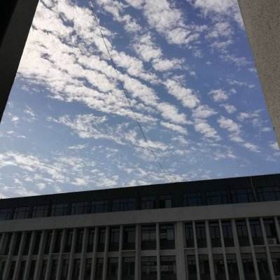 特发信息多名高管被证券市场禁入